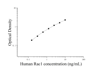 Набор для ИФА субстрата ботулинического токсина C3 человека Ras-родственного 1 (Rac1)