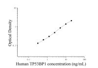 Набор для ИФА на белок-связывающий белок 1 опухоли человека p53 (TP53BP1)