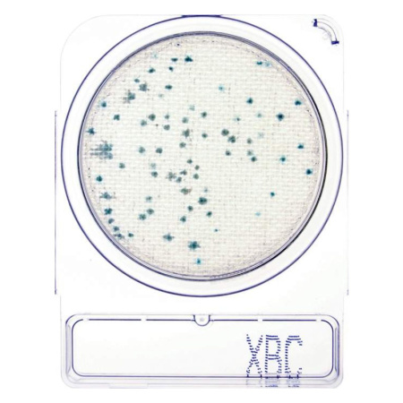 Compact Dry X-BC – количественное определение Bacillus cereus. 100 определений фото в интернет магазине STOLAB